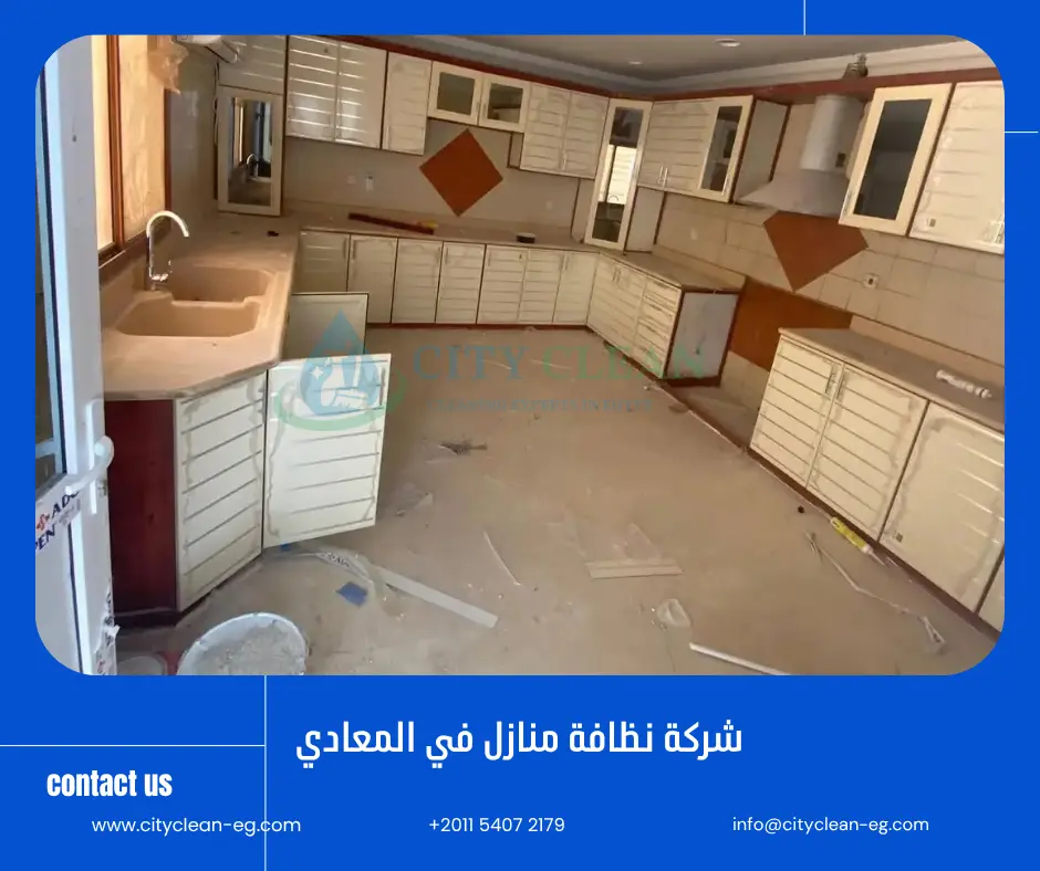 شركة نظافة في المعادي